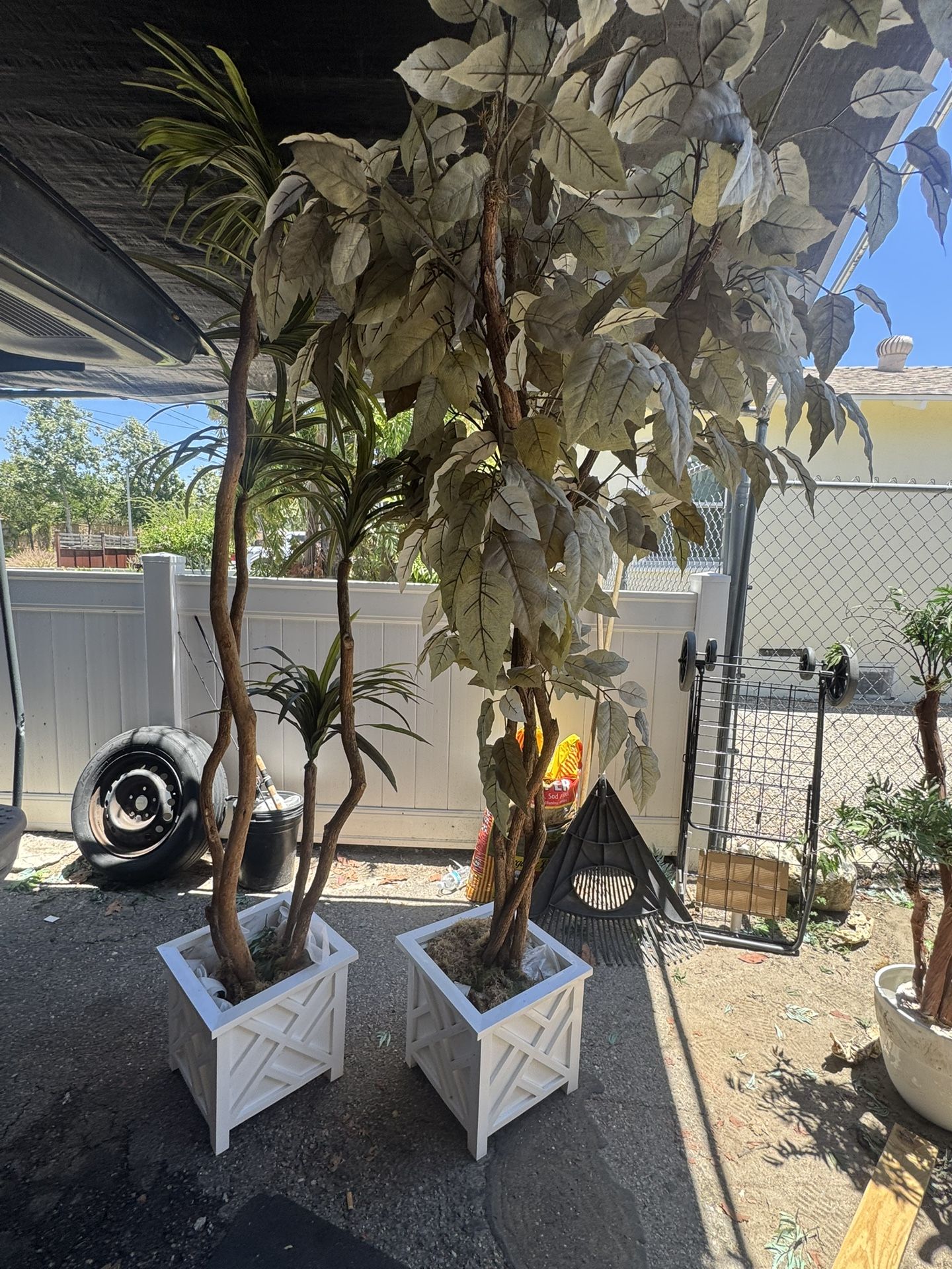 Two Artificial Plants 50 OBO