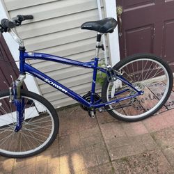 Comfort Series Chwinn Bike