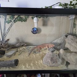 Tank everything inside too