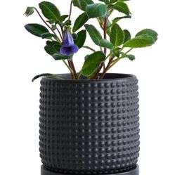 D'vine Dev 6 Inch Ceramic Beaded Stoneware Planter Pot 