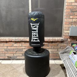 Punching Bag Everlast. 
