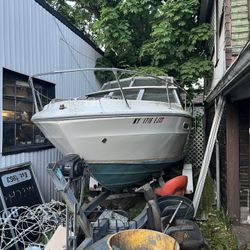 22 Ft Overnighter SeaRay Boat 