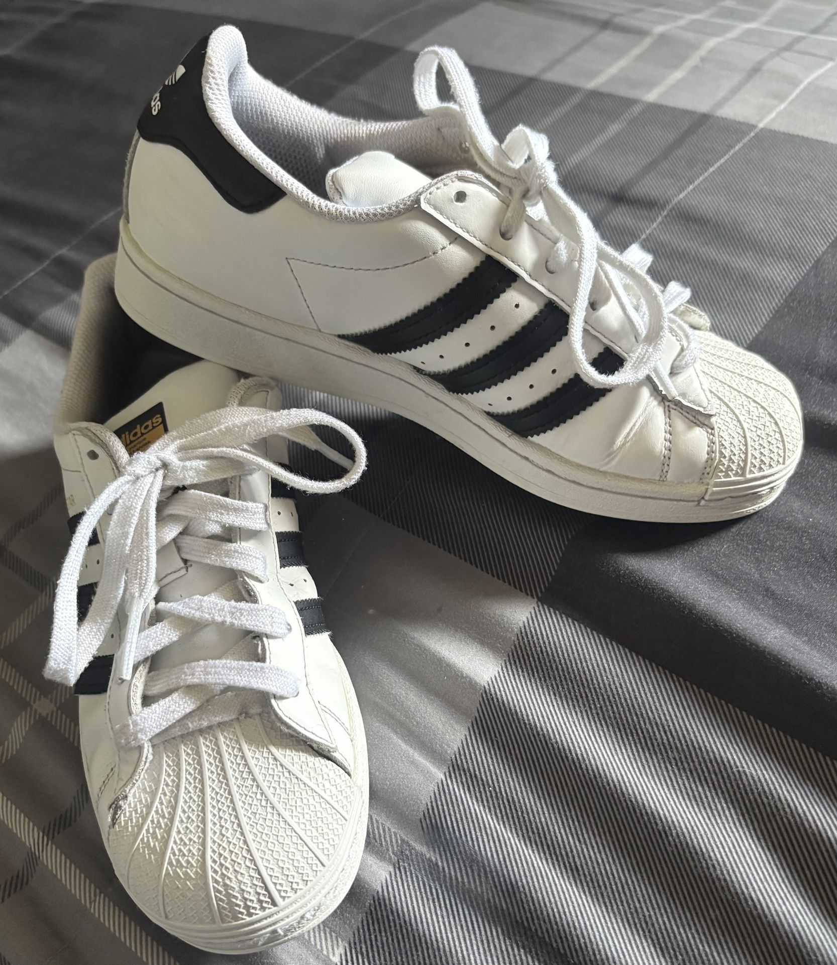 SUPERSTAR Adidas