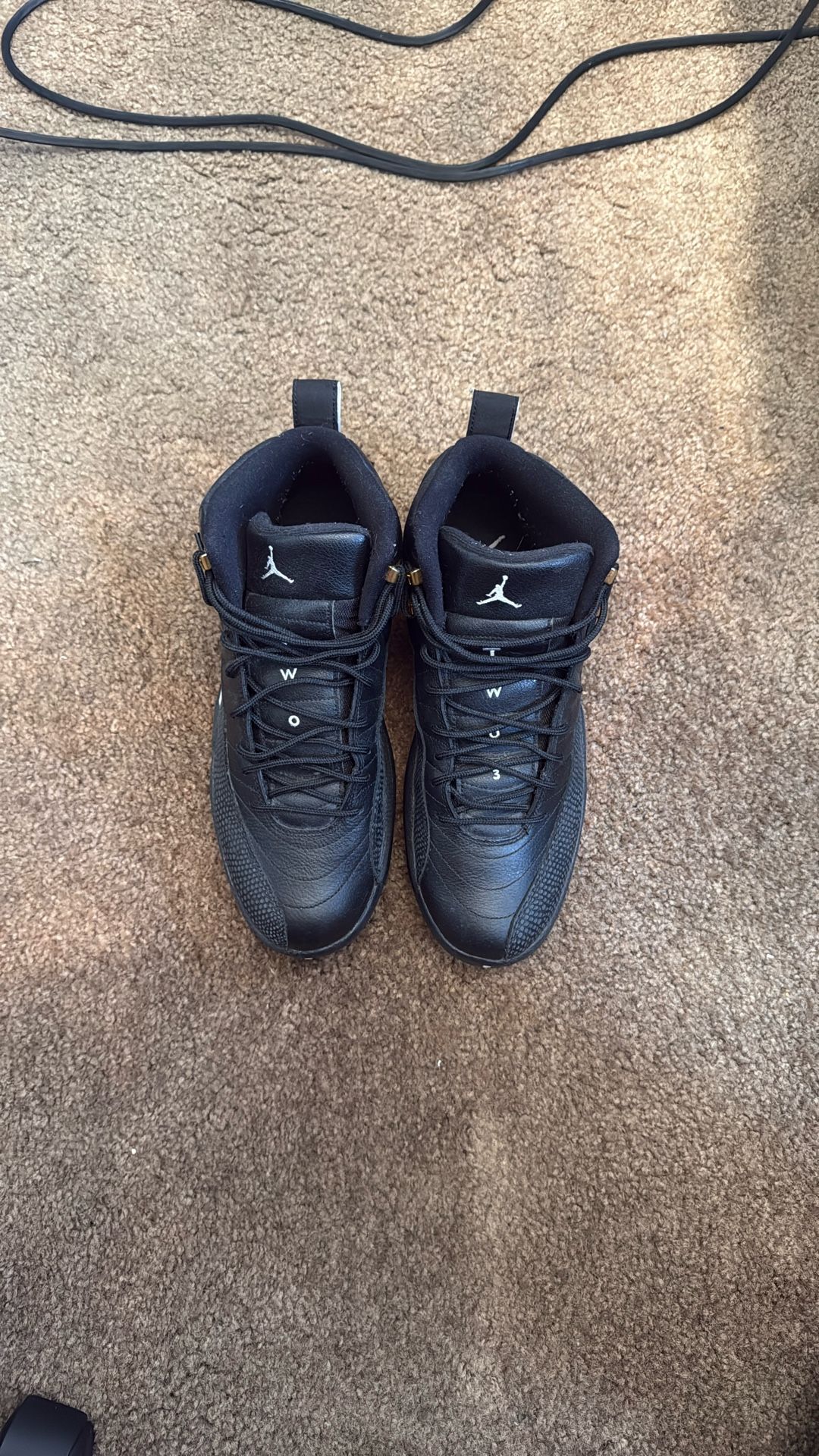 The Master 12 Retro Jordan’s