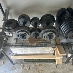 Weights- Bowflex with Adjustable Dumbbells