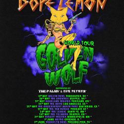 6 Tickets For Dope Lemon  @ The Observatory  5/25/25