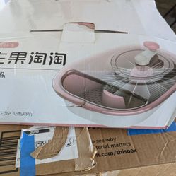 Fruit Washer 