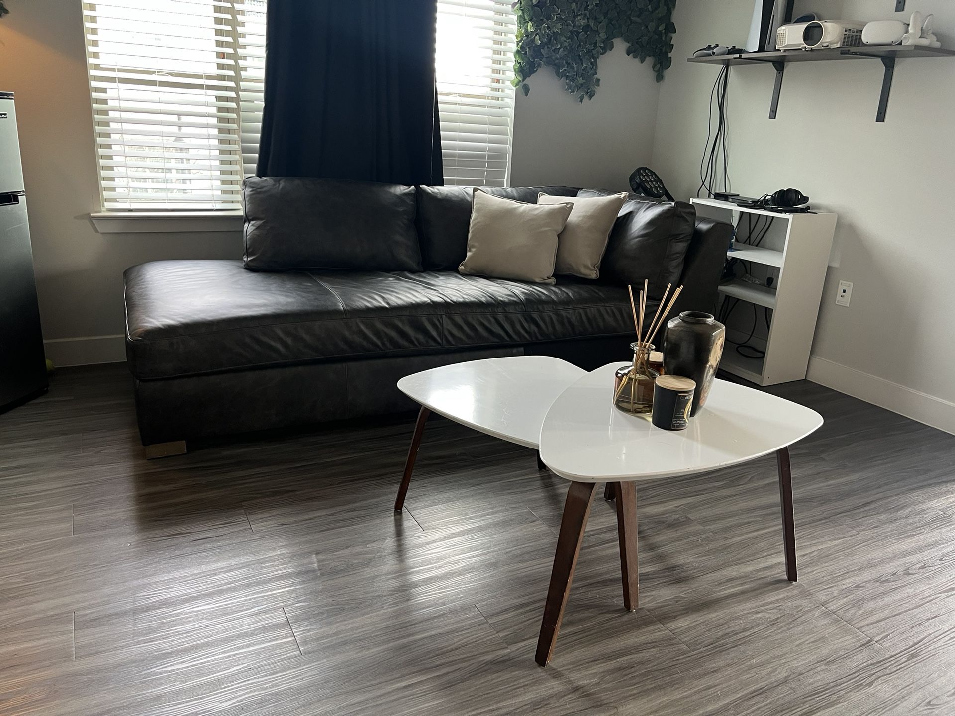 Luxury Leather Couch