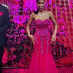 Barbie Prom Dress