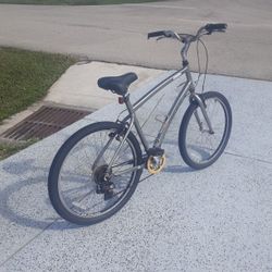 21 Inch  TREX