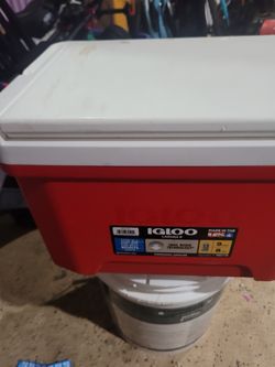 Igloo cooler