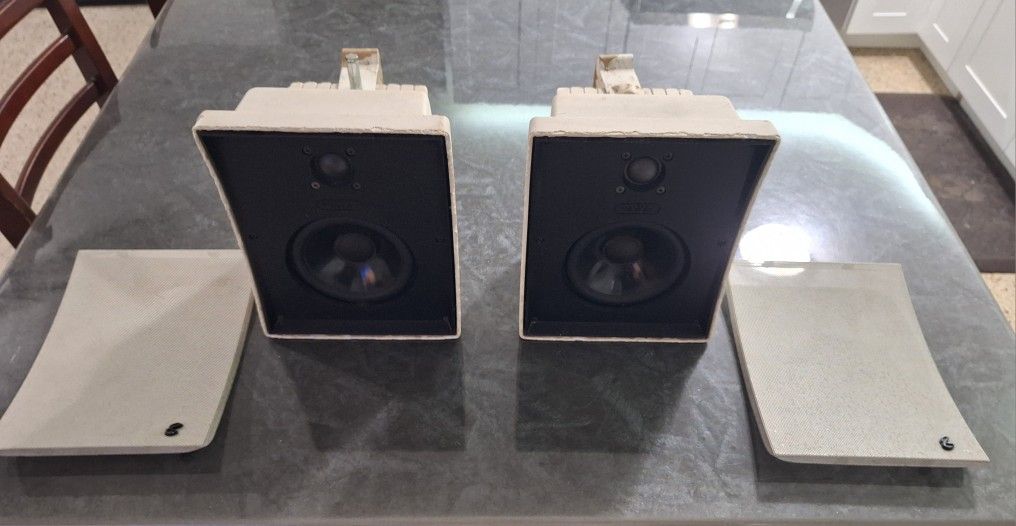Infiniti Outrigger Indoor/Outdoor Speakers