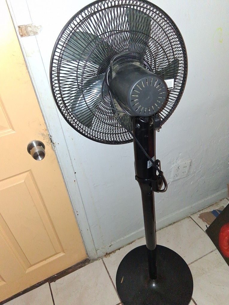 Fan