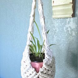 Home Grown Spider Plant In Pink Flower Pot With Handmade Macrame Hanger