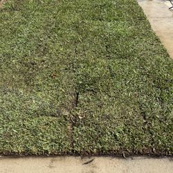 Sod For Sale 