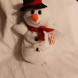 Rare Beanie Baby With Errors 