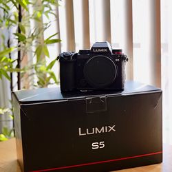 Panasonic Lumix S5