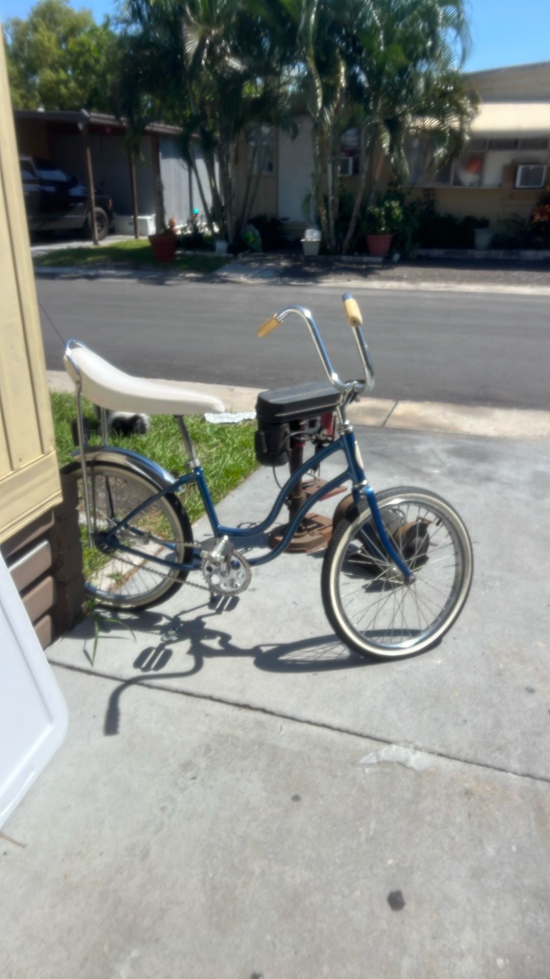 Schwinn Bicycle