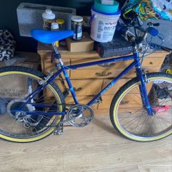 1983 Ross Classic Bike