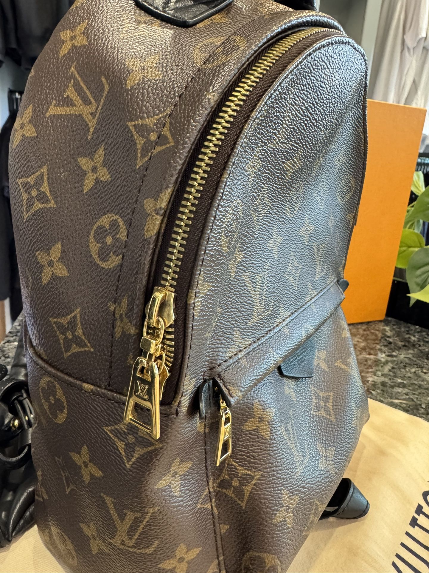 Louis Vuitton Palm Springs Monogram (Updated Zipper) PM display picture 1