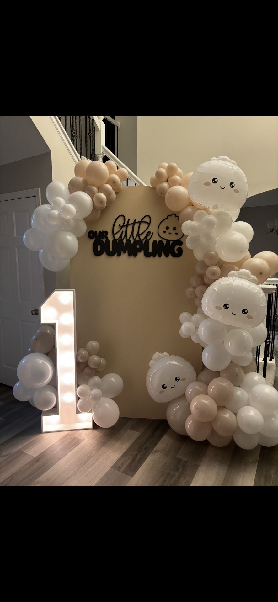 Dumpling Backdrop 
