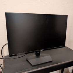 Monitor - Dell