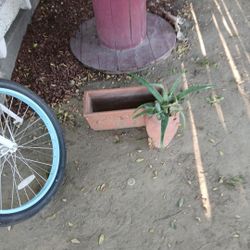 2 Mathing Plant Vases 