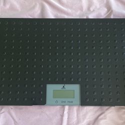 Redmon Precision Digital Pet Scale