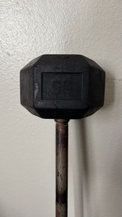 55lb Fixed Rubber Barbell
