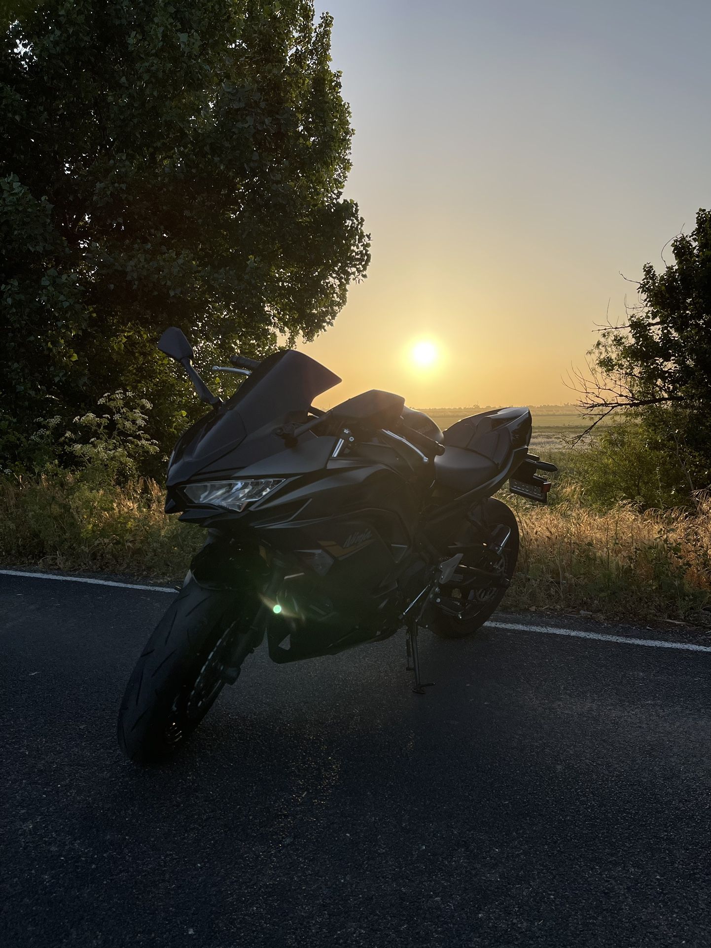 2023 Kawasaki ninja Ninja 650