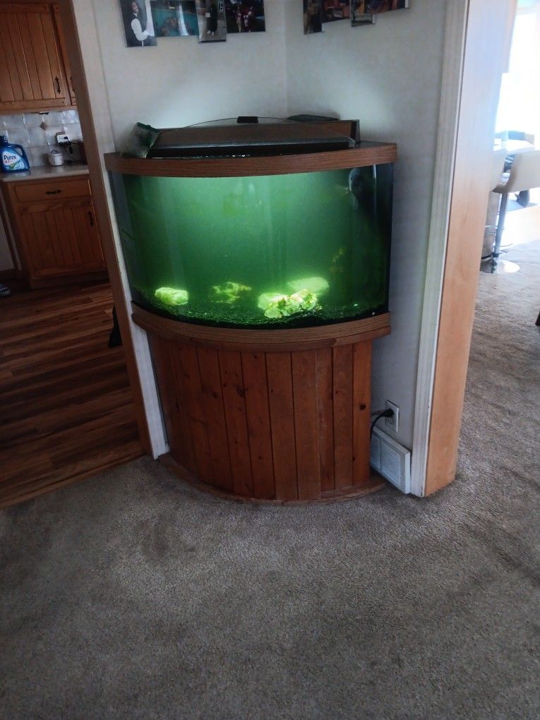Fish tank and dining room table or Best Offer