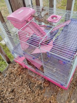 Hampster cage