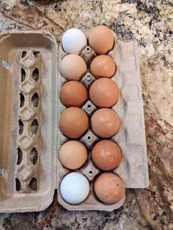 Farm Fresh Eggs!   Wapato area