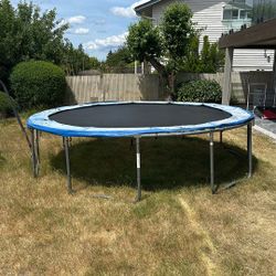 Trampoline - Big