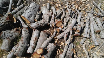 Firewood, 100% Hard Wood, Split, Seasoned