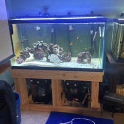 120 Gallon Aquarium With Stand Light And Filters