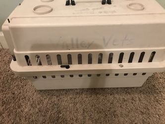 For cat or dog