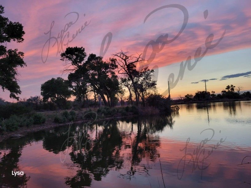 A Gorgeous Oasis Of Nature 