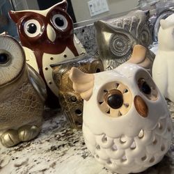 Owl Collection