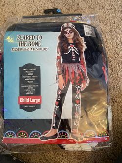 Girls Halloween Costume- Size Youth Large