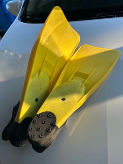 Swim fins snorkel fun