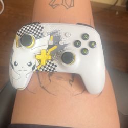 Nintendo Switch Controller 