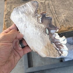 Polish Stone Piece Earths History