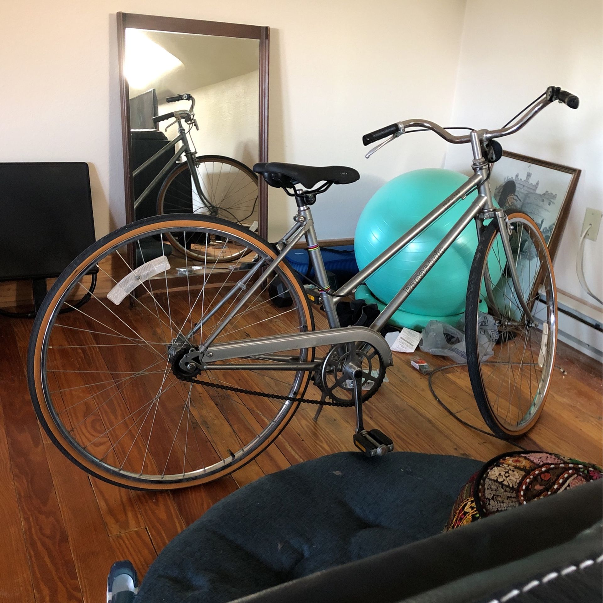 Panasonic Coaster Brake Bike OBO