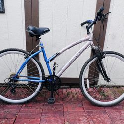 28” WOMEN ROAD/MOUNTAIN BIKE 