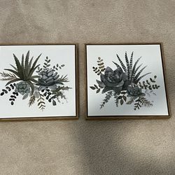 Set of 2 Succulent Canvas 