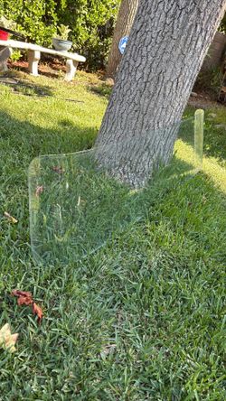 1956-59 Apache Rear Window