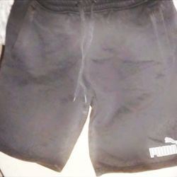 Women's/Gender Neutral Puma Shorts