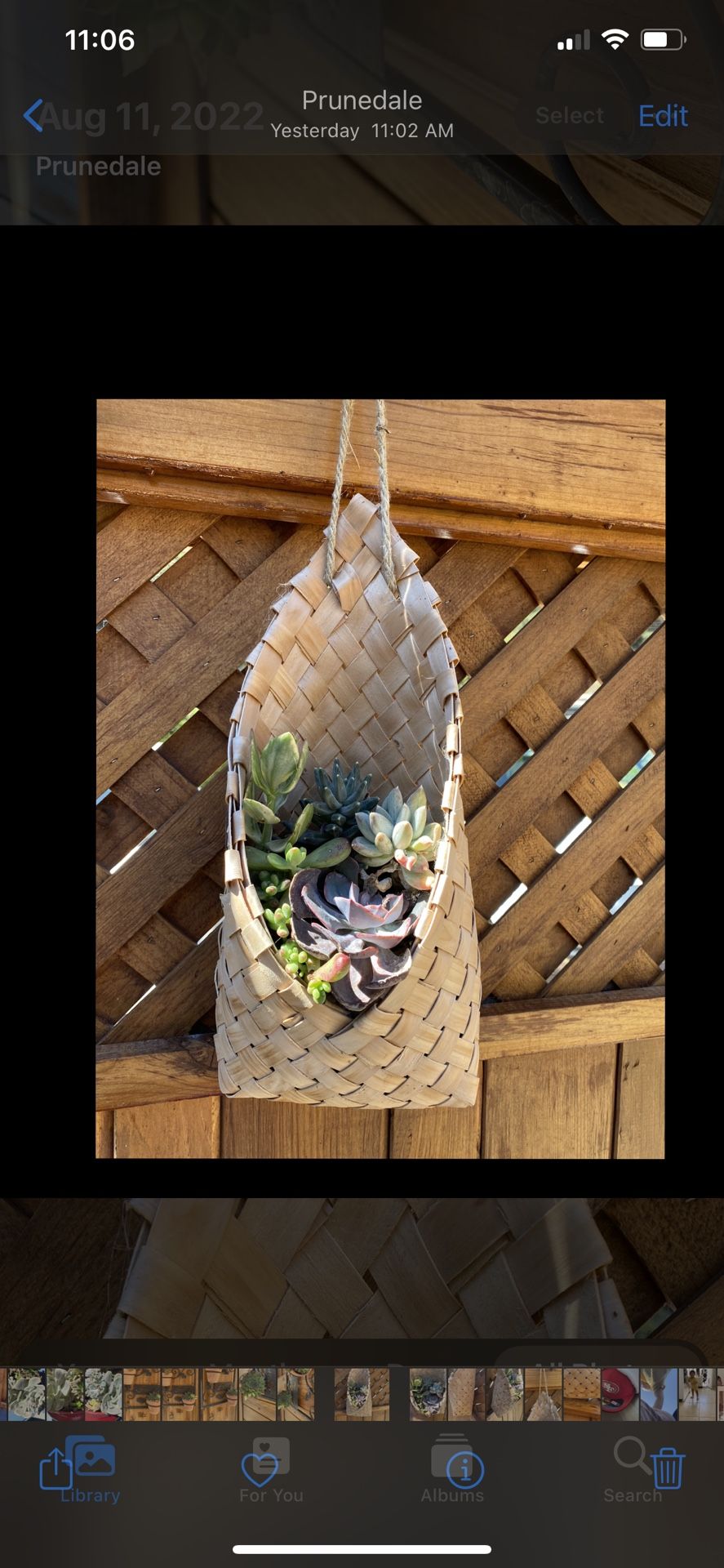 Succulent Hanging Rattan Basket