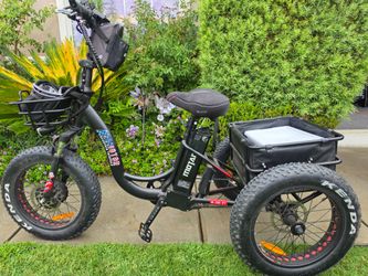 Allmotor electric Trike